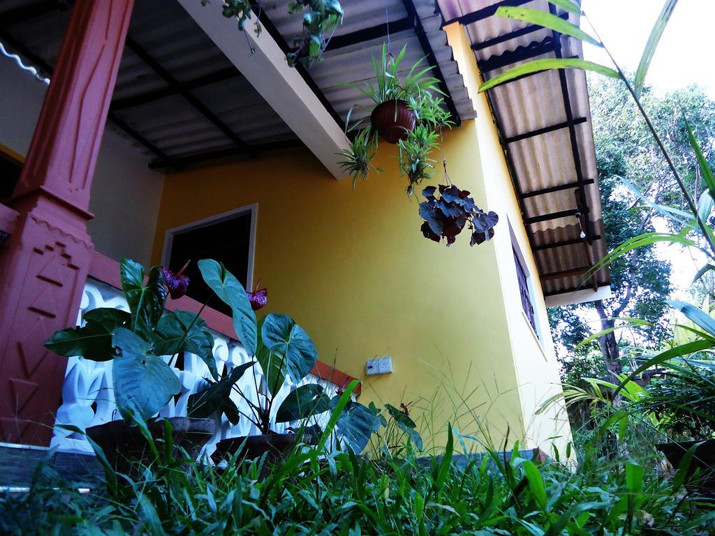 Sigiri Sithru Home Stay Szigirija Kültér fotó